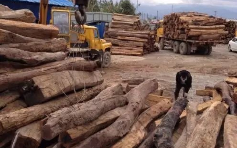 缅甸花梨凭什么，，，，价钱一起上涨....